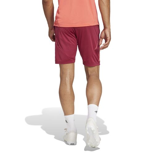 Short de entrenamiento Hombre adidas River Plate  24/25