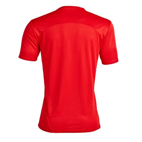 Remera Hombre Puma Independiente 24/25