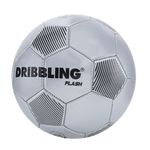 DFPVDZ002S_1-1-