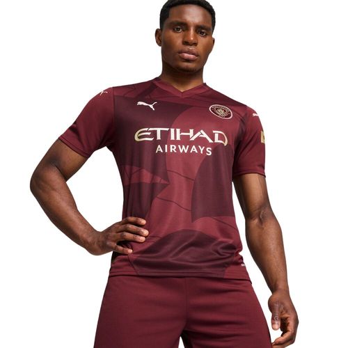 Camiseta Alternativa Hombre Puma Manchester City 24/25