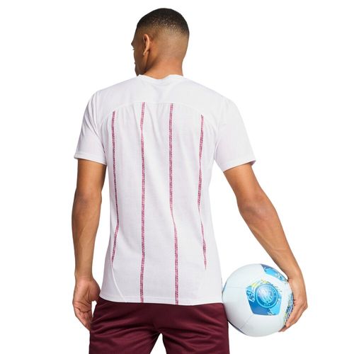 Remera Hombre Puma Manchester City 24/25