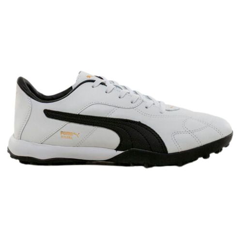 Botines Hombre Puma Borussia Tt Evo Adp