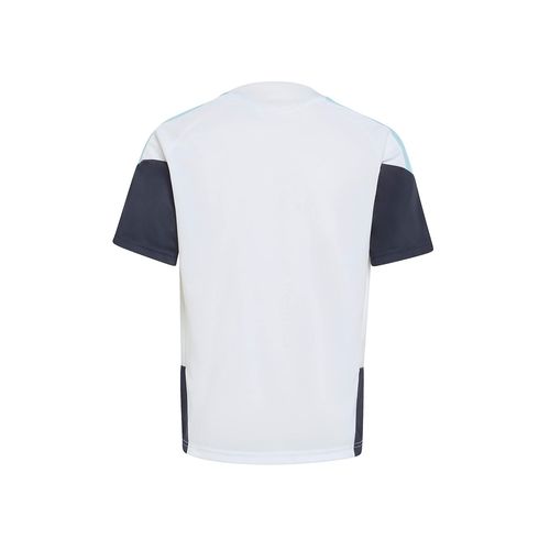 Camiseta De Entrenamiento Niño adidas Seleccion Argentina 2026